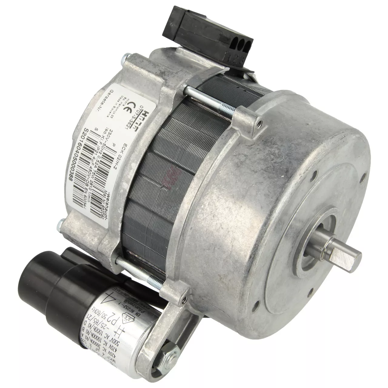 Weishaupt Motor ECK02/H-2,WL5,Nr. 24005008012