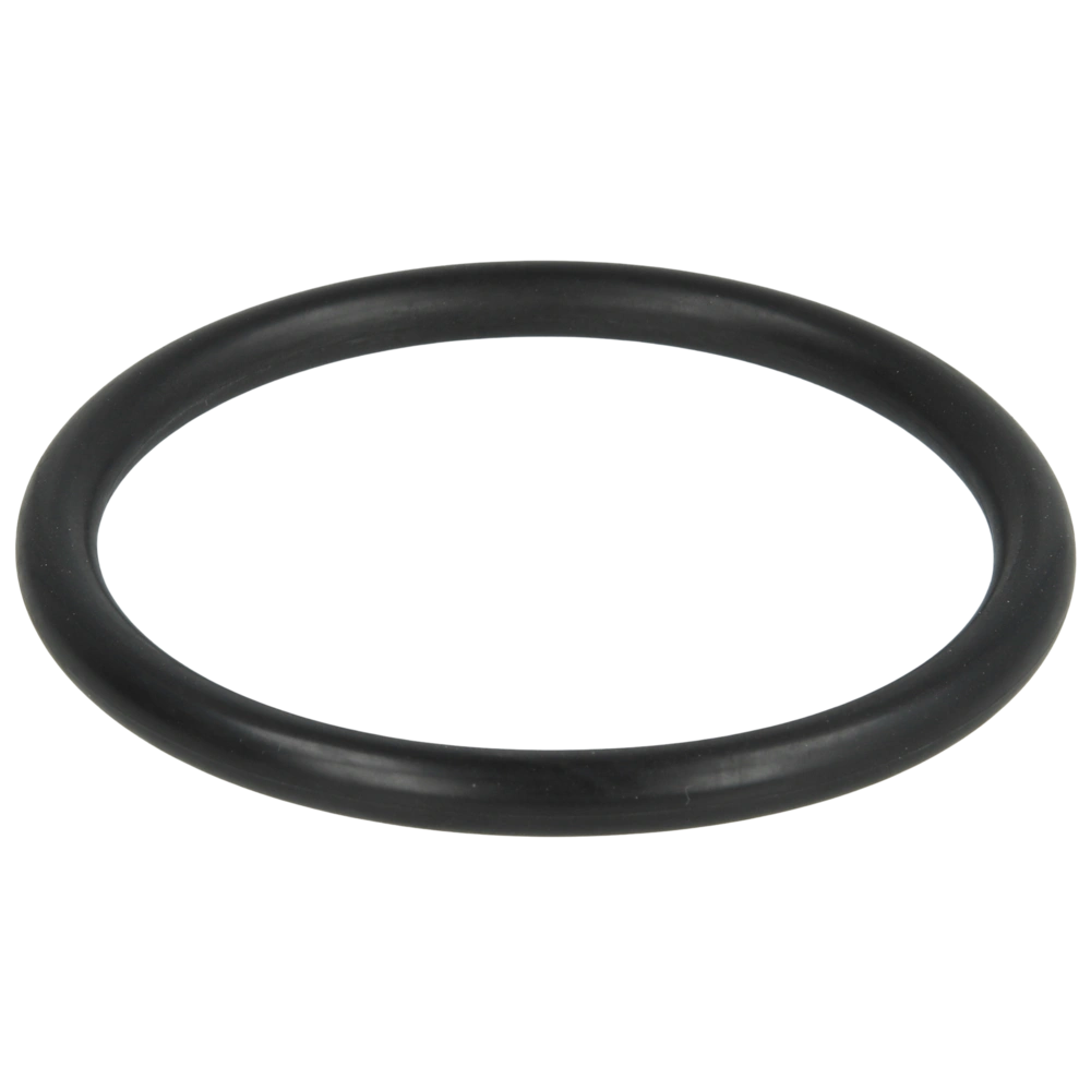 Werit O-Ring für T-Stück 2" für Füllleitung (Ersetz 149-95501020) | 155-000000003
