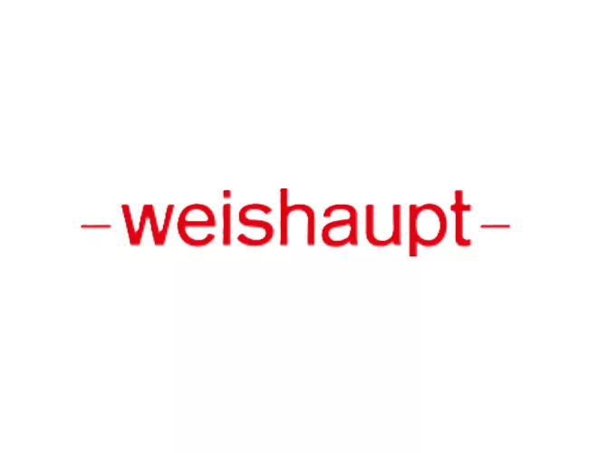 Weishaupt Ionisationsleitung WG5 300 mm | 23205014142