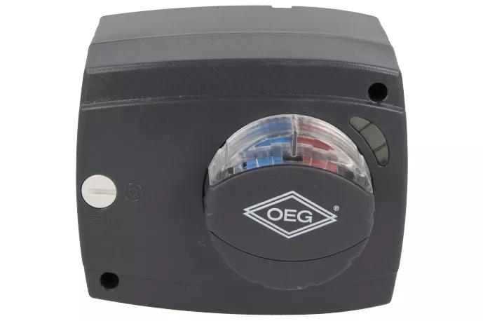 OEG Stellantrieb ESM 15/1/24 24 V 1 Minute